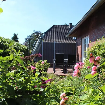 Luentjenuest *