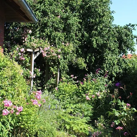 Lüntjenüst