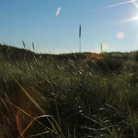 Luentjenuest 아파트 *